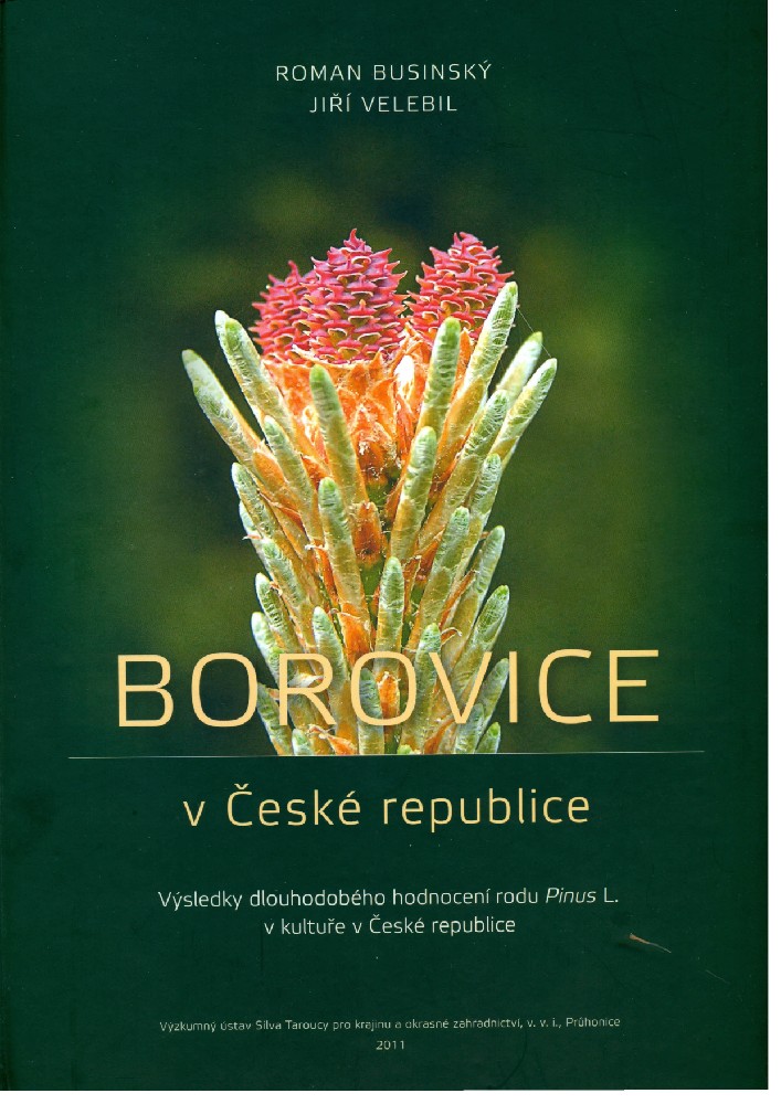 Borovice v České republice